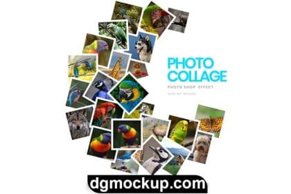Photo Collage Frame Free PSD for Download Preview