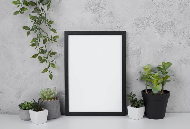 Frame Mockup with Plants on Concrete Wall Free Download