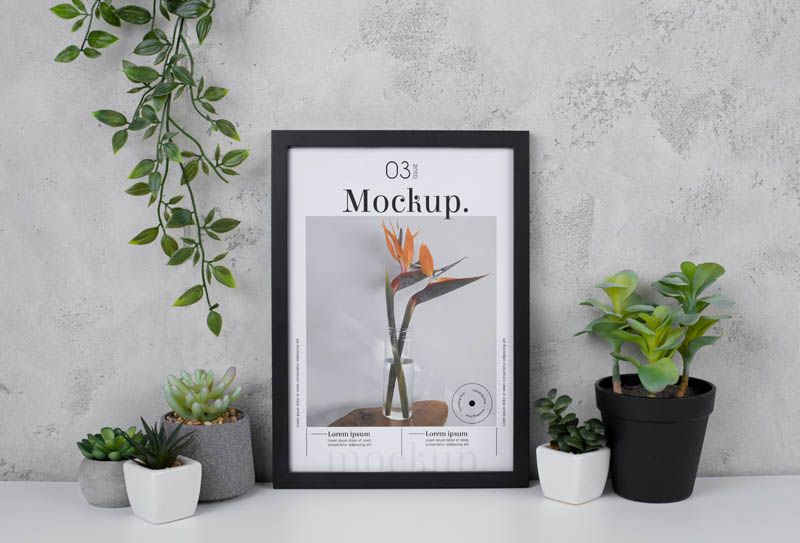 Frame Mockup with Plants on Concrete Wall Free Download